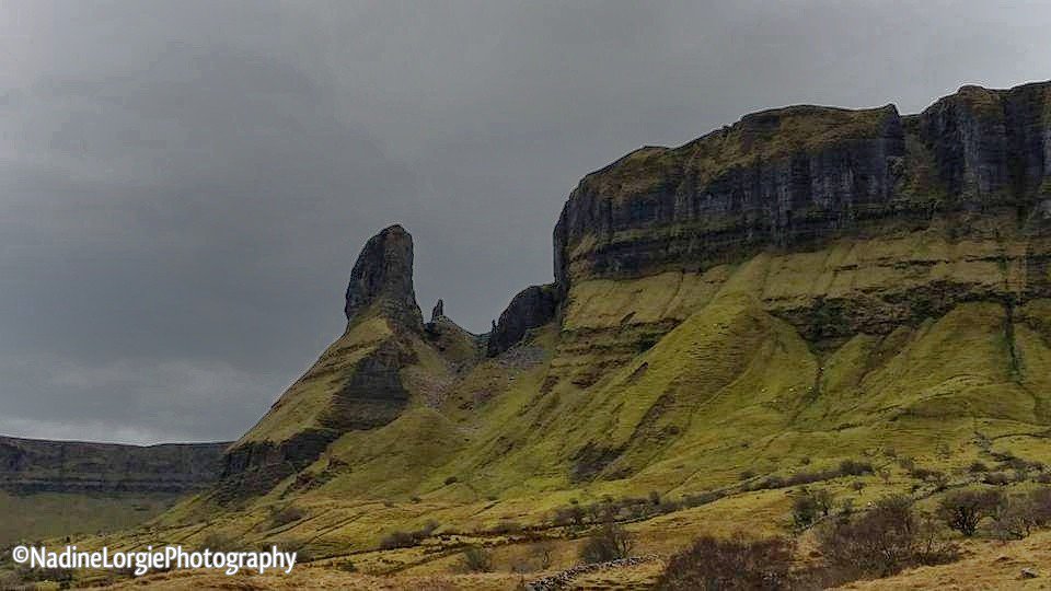 NLphotography📸 tweet media