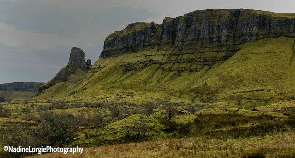 NLphotography📸 tweet media