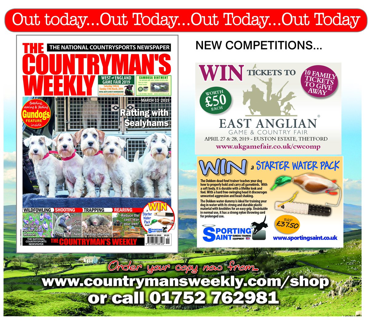 Out today! We've got a Gundog feature plus Moor Management, Trapping, Fox Shooting, Sealyhams, Wildfowling, Shooting, Fareham Clay Target Club, Game Rearing, Hawking, Lurchers, Gun Safety, Photo Corner, Letters and the latest news! shop.countrymansweekly.com/issue/view/iss… or call 01752 762985