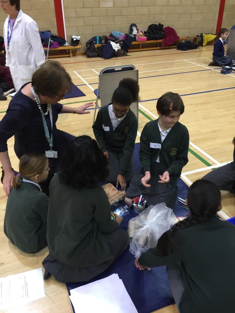 NotreDameCobham's tweet image. Groups at work! #sciencechallenge #ScienceWeek2019