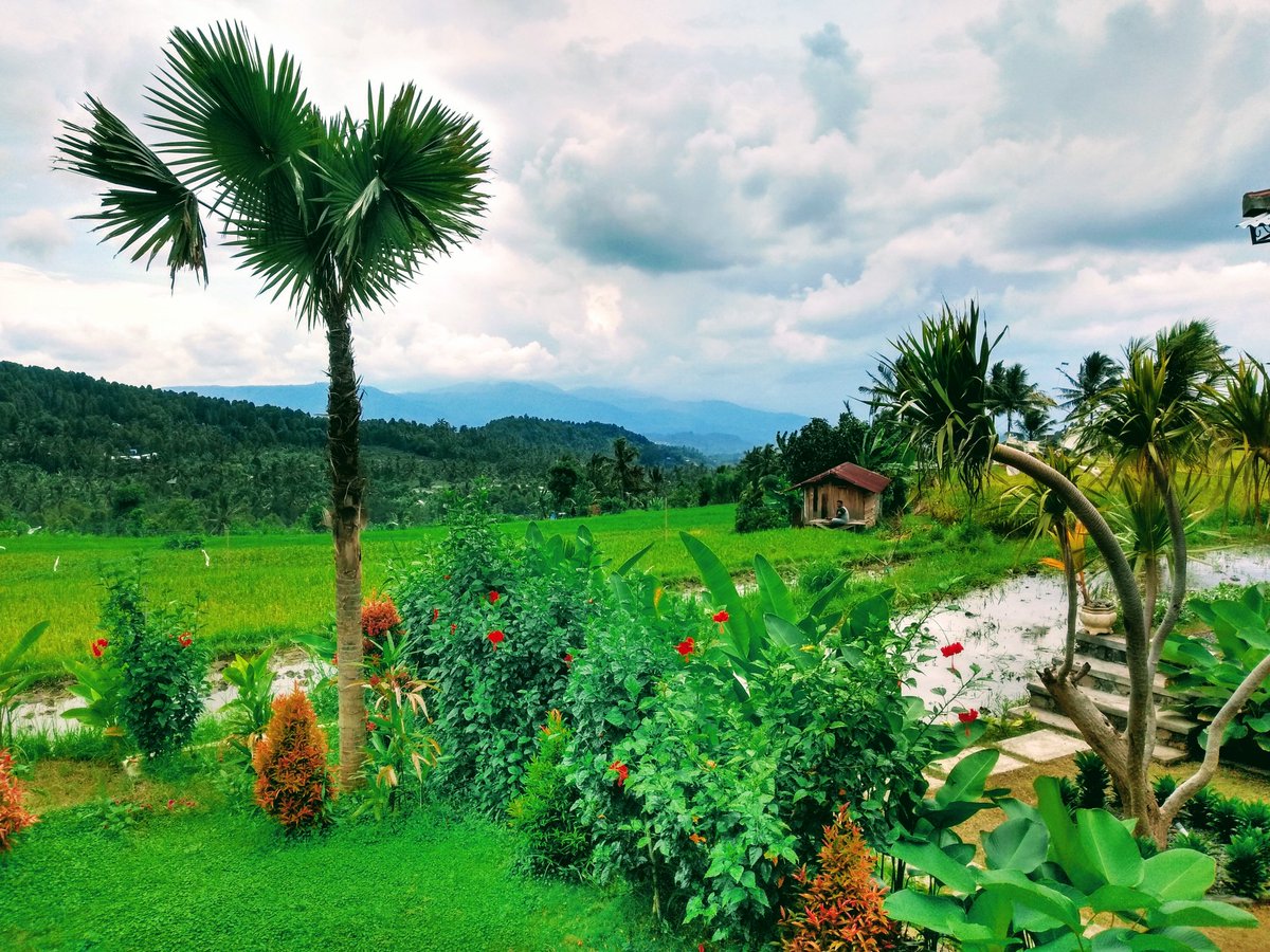 GlobalGoose's tweet image. We took a very long and winding road and now we are in the middle of nowhere in the mountains of Bali. I think I'm in love with this view. 😍🇮🇩🌴