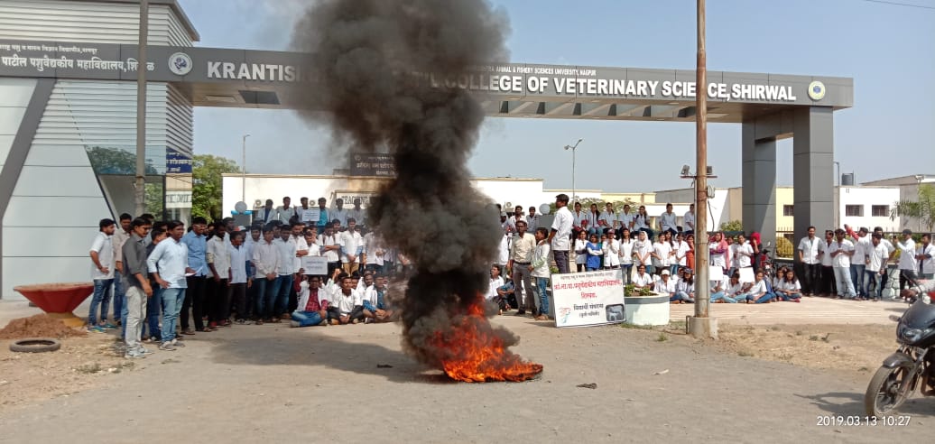 KiranKa56559467's tweet photo. @AssociationVet @PMOIndia @CMOMaharashtra @Dev_Fadnavis @mahadevjankar10 @dhananjay_munde 
#shameonAHD
#Shameonmaharashtragovernment
Veterinary students in Maharashtra on strike against the promotions of LSS to LDO post. We want implementation of IVC act in MH. https://t.co/dGxscJK2Ly