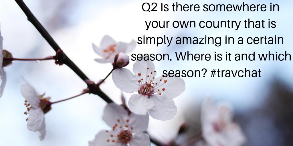 Gordon Lethbridge tweet media