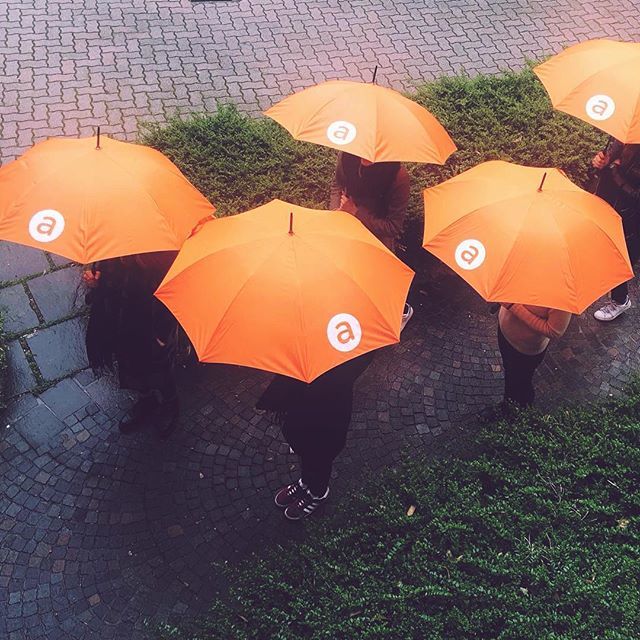 Oggi piove! Cosa ne pensate dei nostri bellissimi ombrelli? 🔸😉