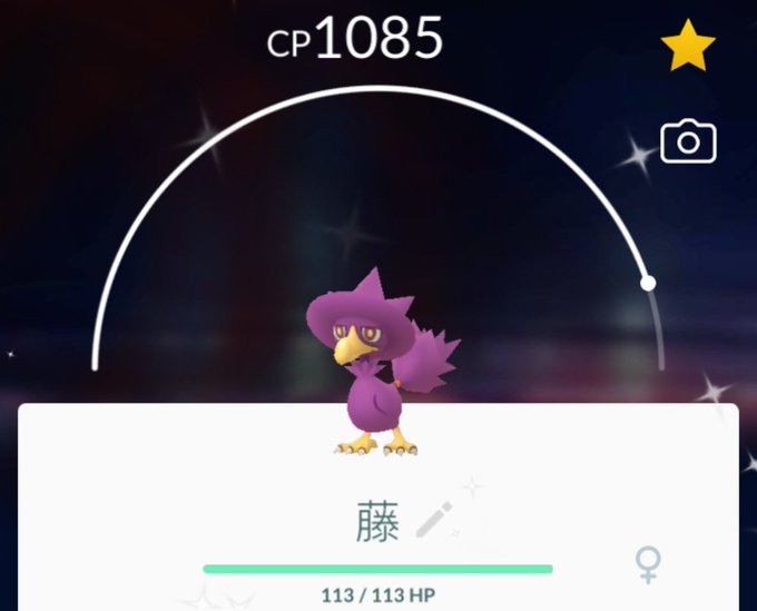 ドンカラスのtwitterイラスト検索結果