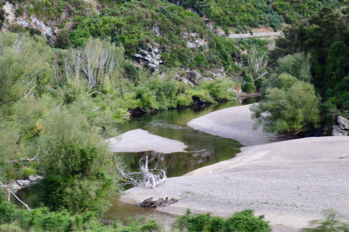 Kazz946's tweet photo. Took a train ride through #Taieri Gorge, much more pleasant than driving through the #Karangehake Gorge 😬 lovely to meet a courting couple in their 70’s. Harry lives in New Zealand &amp; Marjory in South Africa. They met in the Baltic Sea!! #livelaughlove #joy @wcmtuk https://t.co/8gj71b0jt5