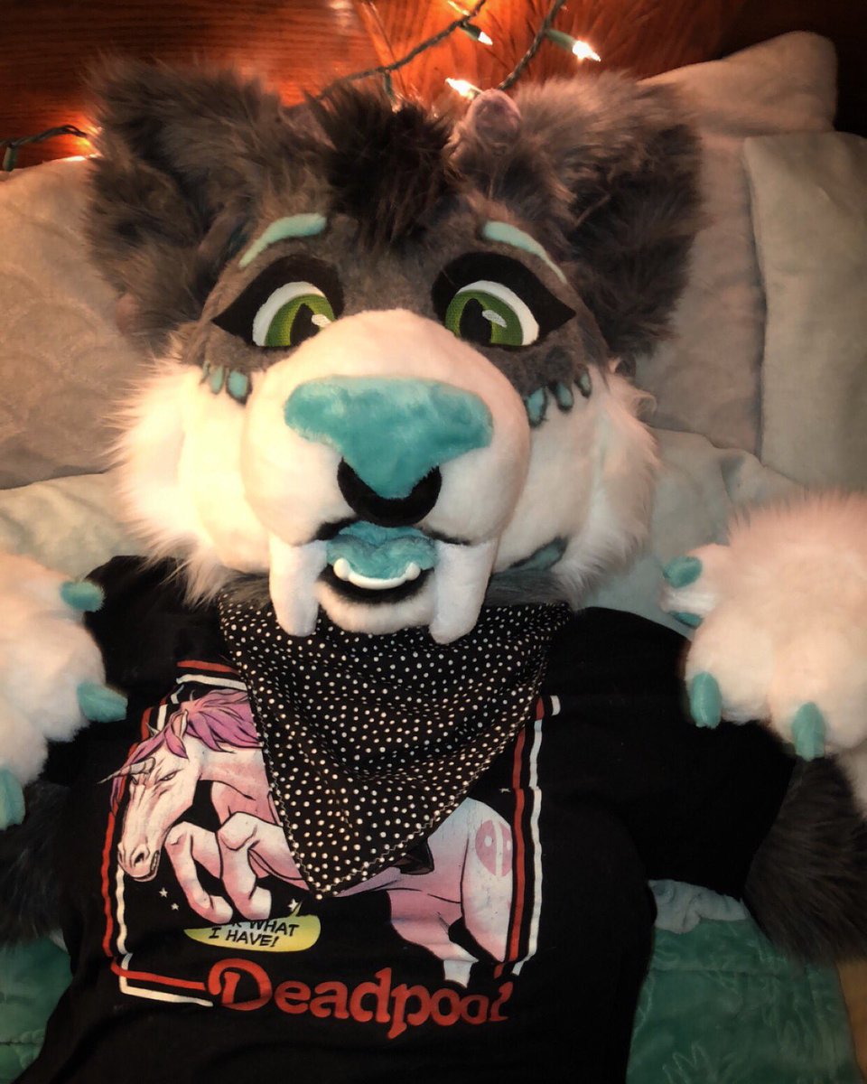 ClockHand1's tweet image. I’m a good kitty... I think...
#furry