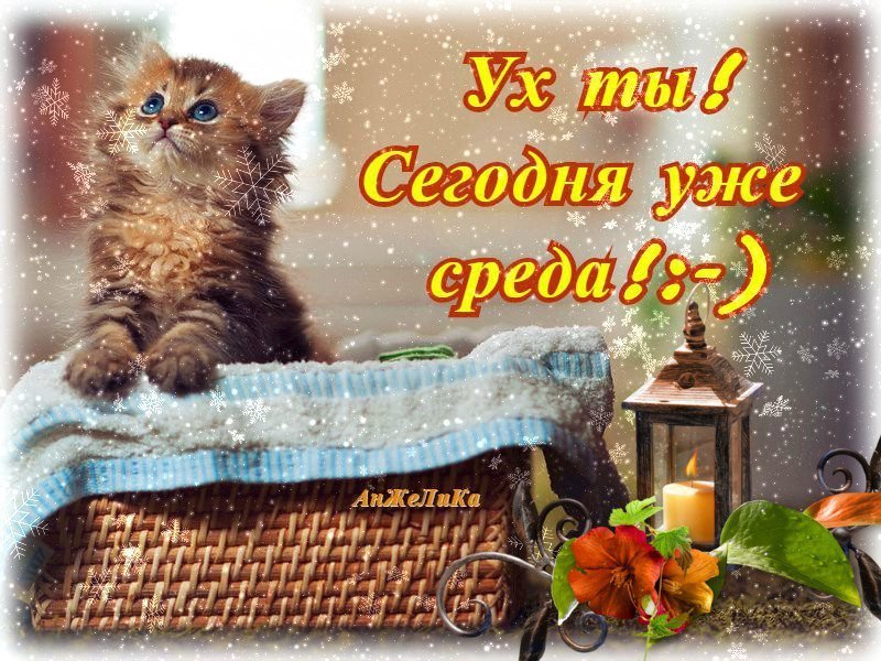 Ландыши, со средой картинки прикольные зимние