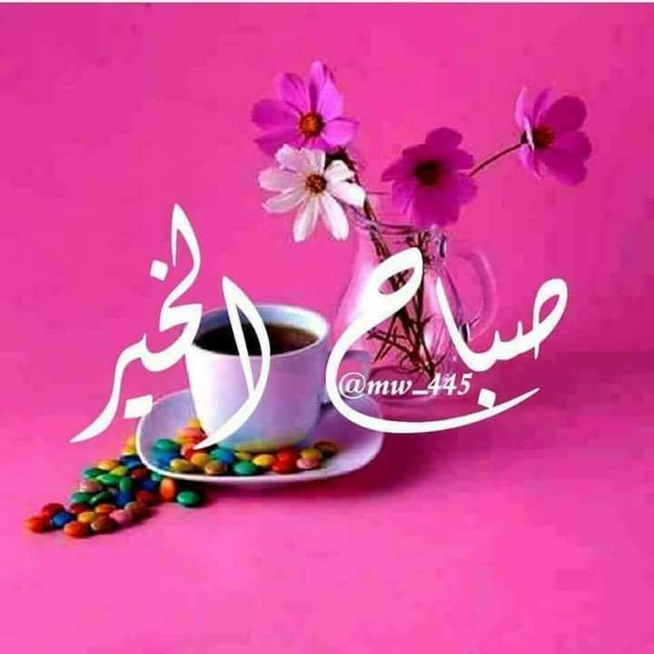 تأنيب الضمير هو الذي يشعرك أنك أسوأ إنسان على وجة الأرض ، و لكن ما دُمت تشعر بذلك التأنيب فأنت من أطهر الناس قلباً !💜