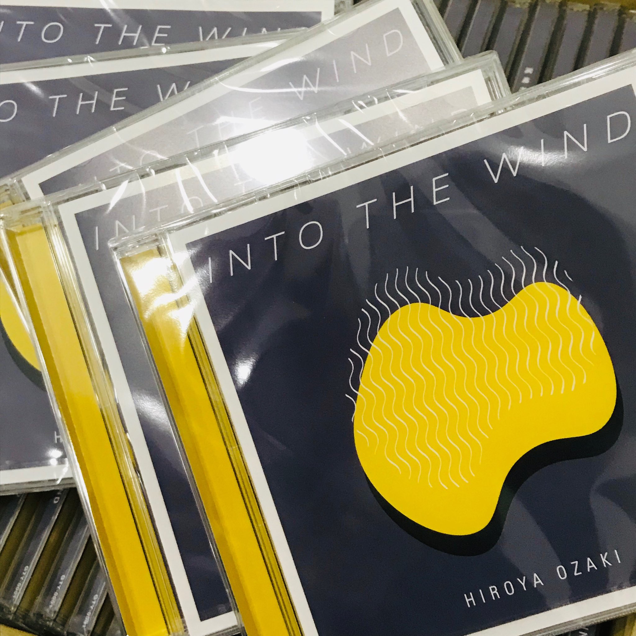 尾崎裕哉 INTO THE WIND CD 尾崎豊 尾崎裕哉 INTO THE WIND CD 尾崎豊 Twilight Wind (2009
