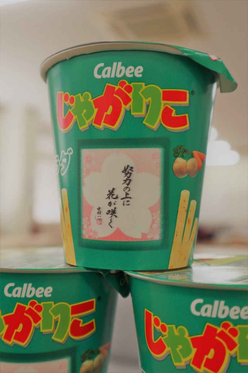 Nakamura_kouhou's tweet image. ナカムラオリジナルのデコじゃがりこ「努力の上に花が咲く」‼️🌸
3月16日（土）のオープンキャンパスのLINE登録者へのプレゼントです😄✨
オープンキャンパスは10時から★みなさまのご来場おまちしています🙌#ナカムラ　＃オープンキャンパス　＃デコじゃがりこ　＃プレゼント