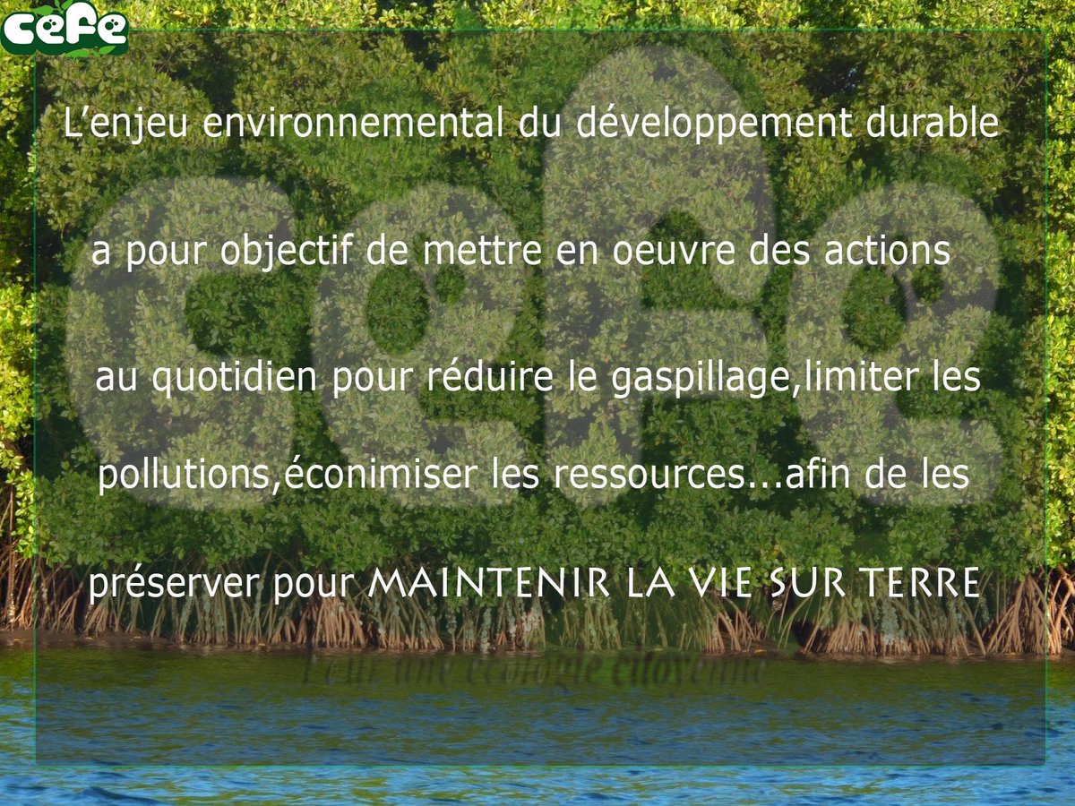 Le Ministère de l'Environnement et du Développement Durable