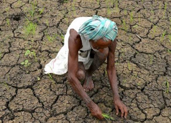 viswarajantweet's tweet photo. நாக்கு வறண்ட
நிகழ்கால நதியின்
விலா எலும்புகளில் தொிகிறது
மனிதனின் இறந்துபோன எதிா்காலம்.
வெயில் காலம் வந்தால் நினைவுக்கு வருவது விவசாயிகள் பயிர்களை எப்படி காப்பாற்றுவர்
காவிரி நீருக்காக இந்த ஆண்டும் வழக்கம் போல அரசியல் தலைவர்களால் கண்டனஆர்பாட்ட நாடகங்கள் நடந்தேறும்.
#NatRead https://t.co/9WR93D0giH