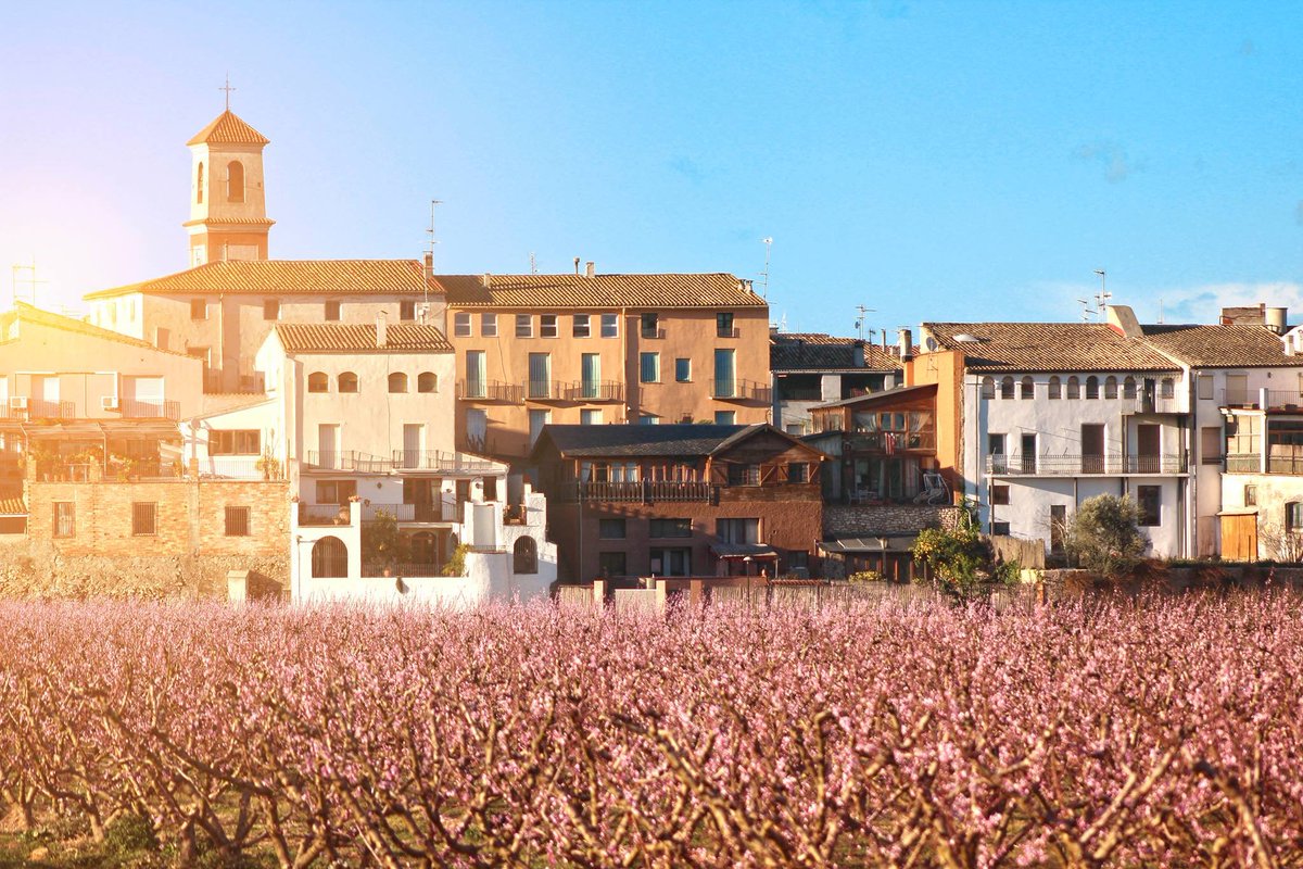 🌸 Una experiència rosa per gaudir dels millors paisatges de la floració a Benissanet sobre dues rodes! Comencem? Reserves: bit.ly/LaRiberaenFlor… ©adescarrega