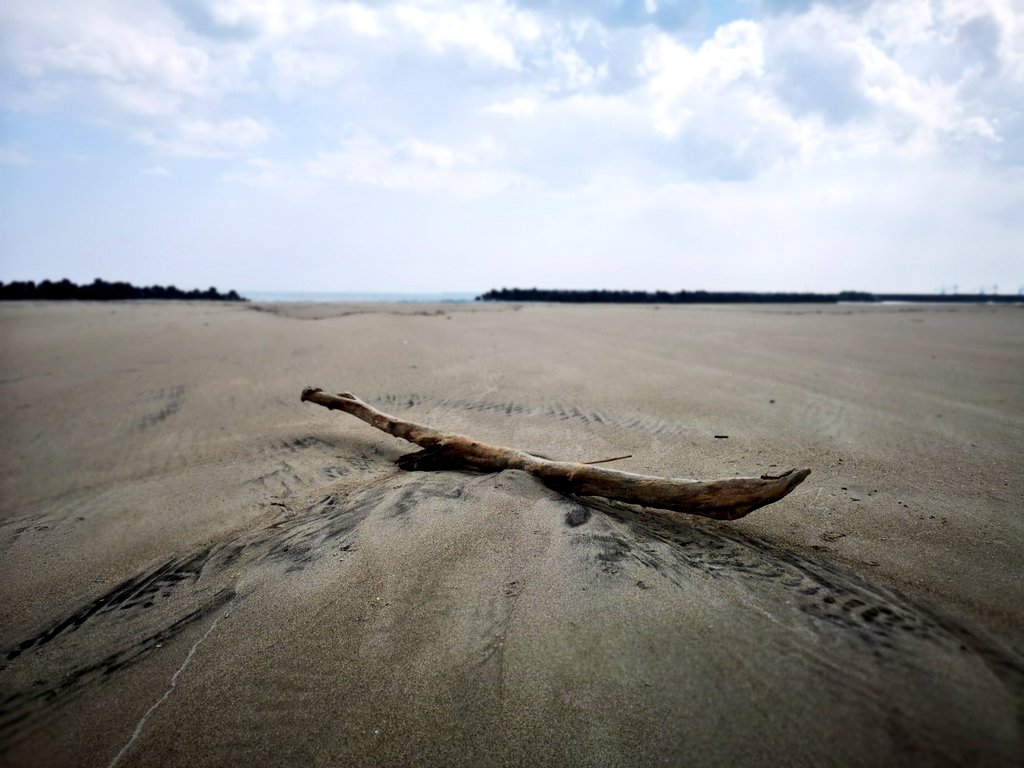 sakabox's tweet photo. 流木
#photography #fukushima #beach #draftwood #流木 https://t.co/Nn45bCx6Q6