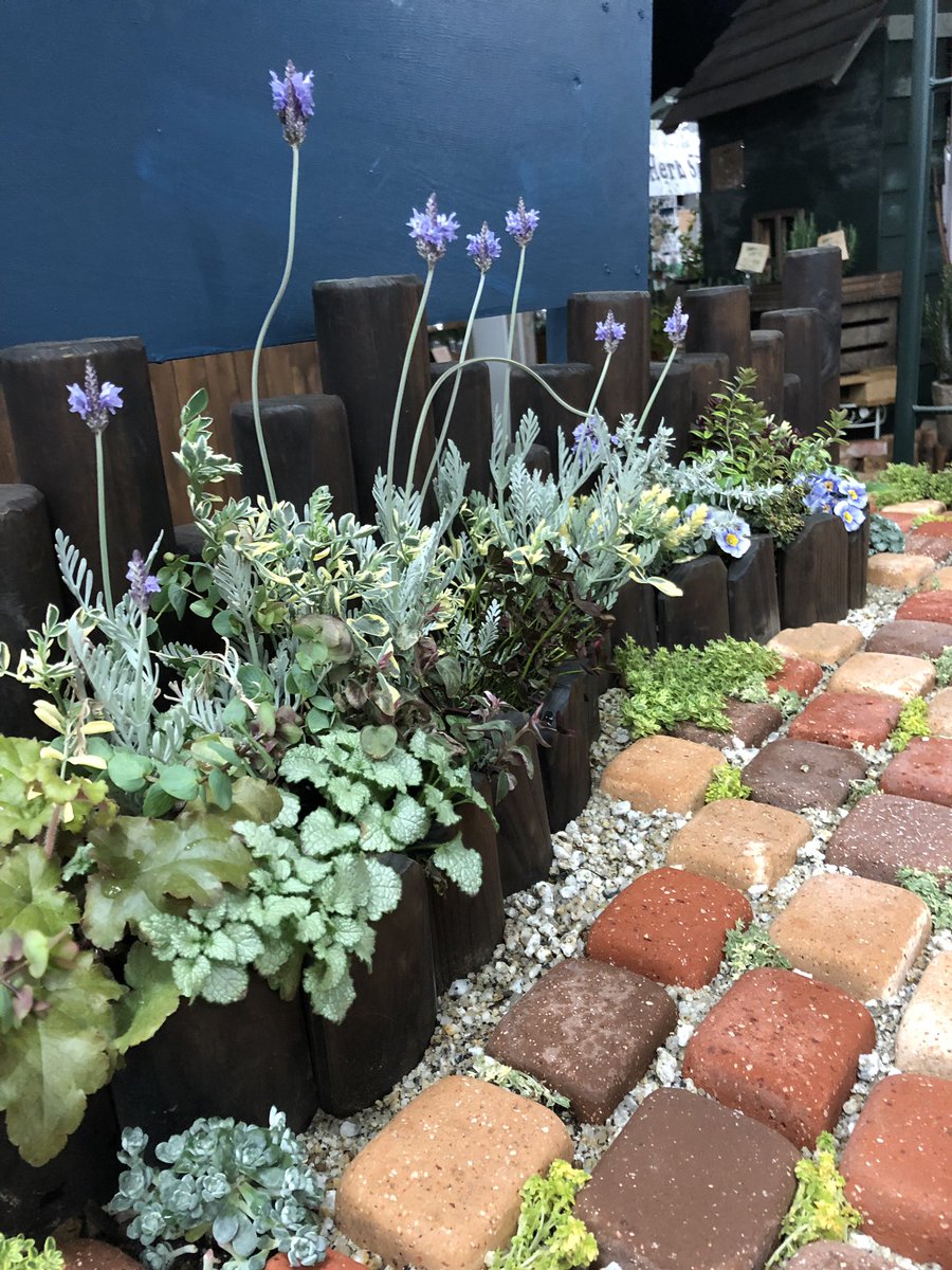 ジョイフル本田 ガーデンセンター ガーデンセンター新田店 群馬県 ミニチュアガーデン 可愛くないですか お庭の小さなスペースでできちゃいます 寄せ植え アレンジ Flower 花 Gardening ガーデニング Plants 植物 春 花好きな人と繋がり