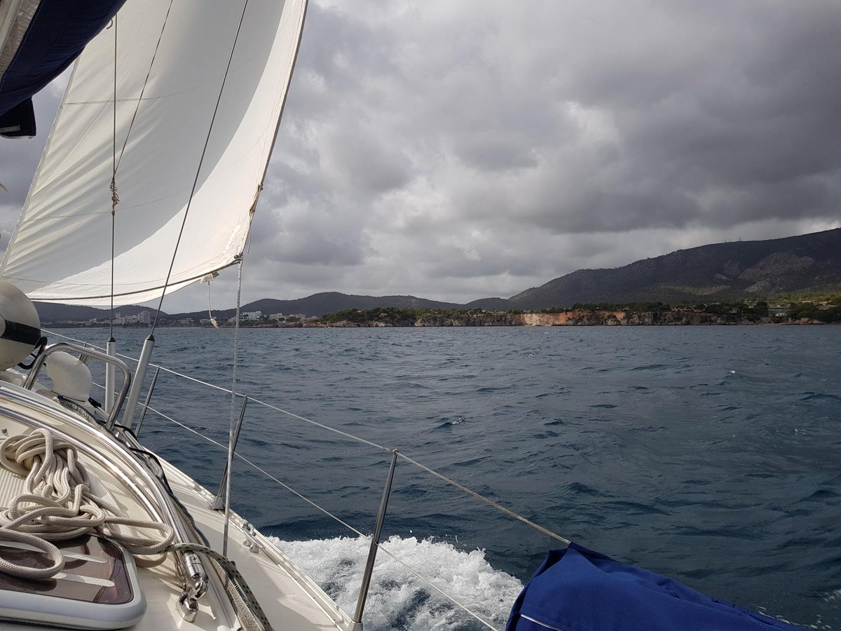 ONE Palma tweet media