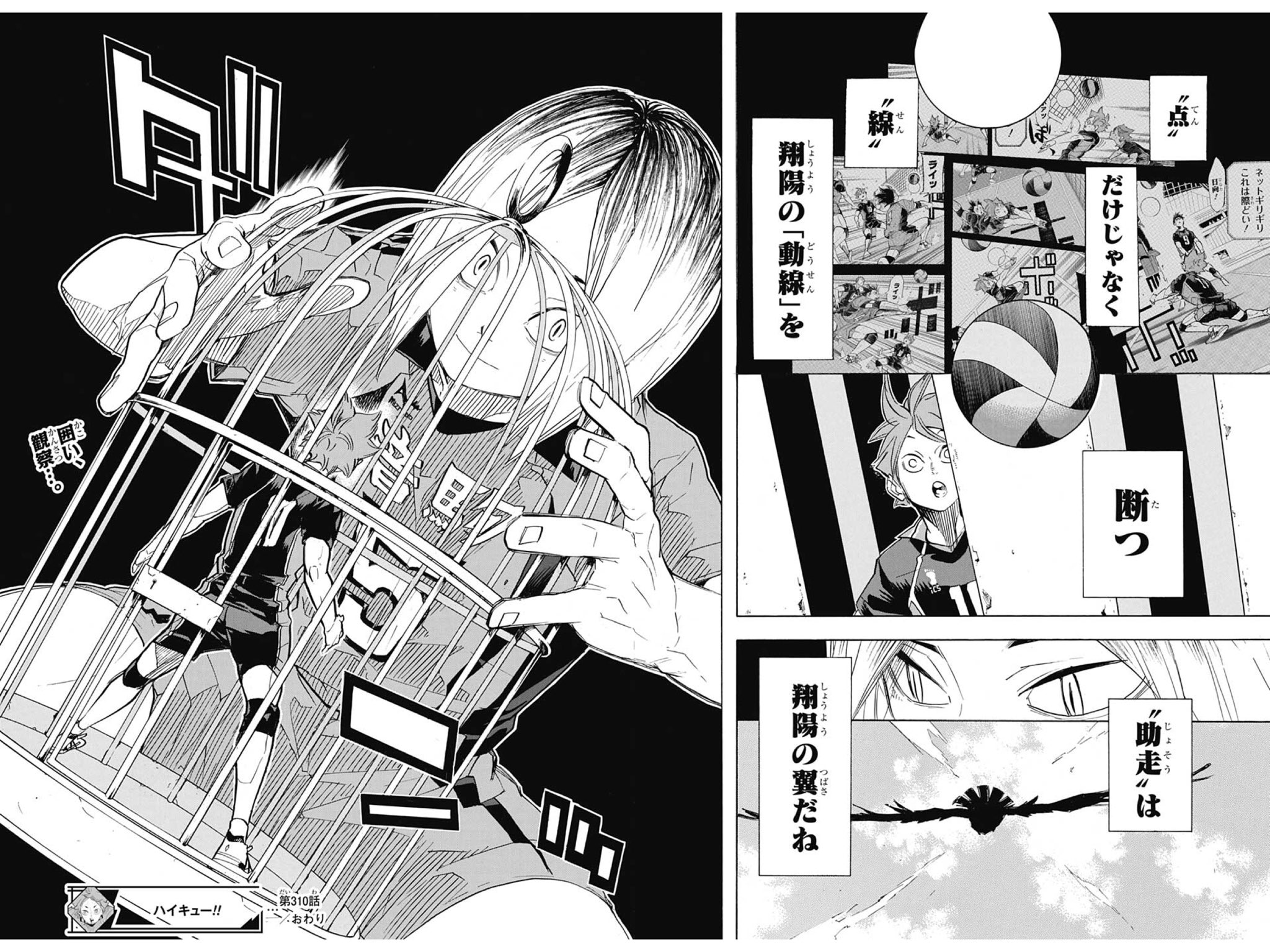 過呼吸のひじ 今週の週刊少年ジャンプ え エグい 音駒エグい すんごいなハイキュー この漫画 各校がかなり詳細に多彩な勝ち筋を提示してきて 前見たなこれ みたいなのが一切無いんだけど どれだけの題材への造詣と閃きがあれば可能なんだ