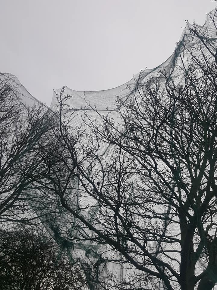 blamhof's tweet image. This disgusting practice has to stop. A dead bird in netting at Whinney Hill Farm near Morpeth on a new development site. Two goldfinches were trapped in the netting too. #RSPB #ChrisPackem #NorthumberlandCountyCouncil #IanLavery #MorpethHerald #NorthumberlandGazette