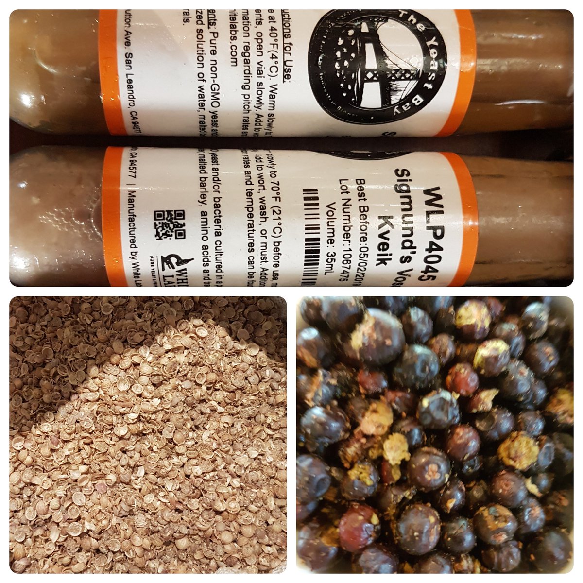 Fun day in the brewery today #kveik #havingfun #craftbeerrocks #norwegianfarmhouseale #farmhouseale