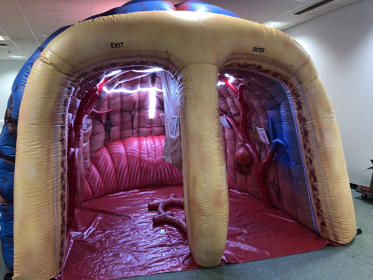 MADEinMelissa's tweet image. #Eriic is joining the @TEWV and @SouthTees teams to support #WDAD2019 #getinside 🧠 then come and see #MELISSA 🚌 @fix_psych @psychinformatic @MADEinHEENE