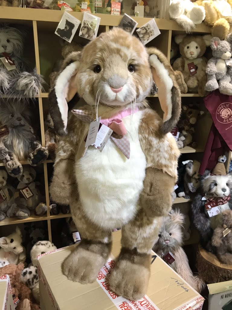 one_morebear's tweet photo. The beautiful Malibu bunny, 30 inches standing! 🐰💖 https://t.co/msYVlLvxjr