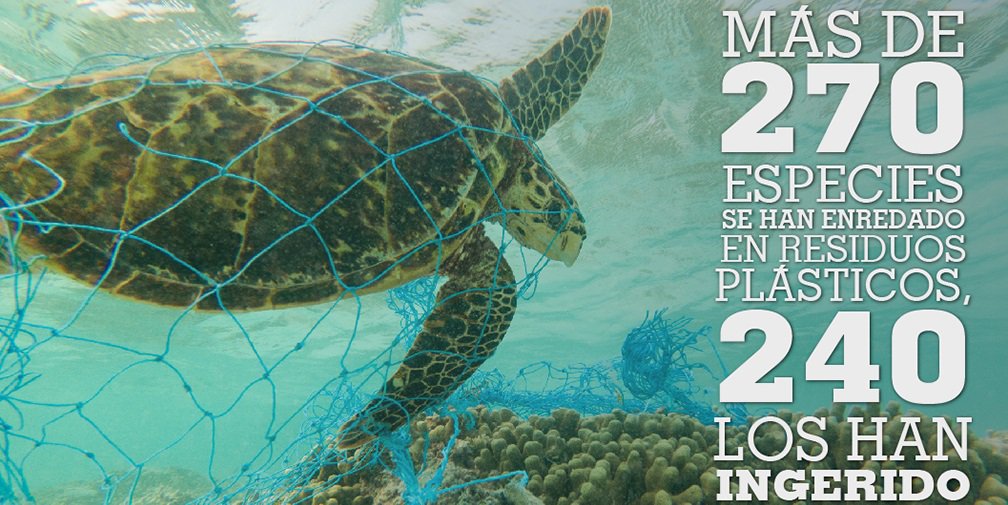 MarGomezH's tweet photo. Algunos datos que nos da @WWFespana sobre la contaminación del #MalditoPlástico 

Los países ricos producen diez veces más desechos por persona que los países con pocos recursos, y exportan entre 10% y 25% de estos desechos https://t.co/Z2hLU2okr8