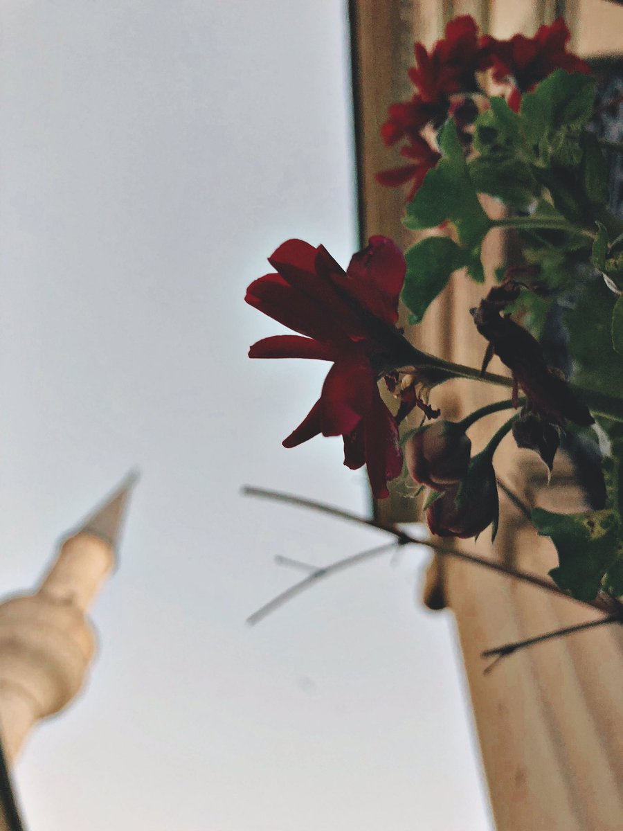mosquesty's tweet photo. Aziz Mahmud Hûdayi Camii / Üsküdar, İstanbul. https://t.co/AMUPdW8unj