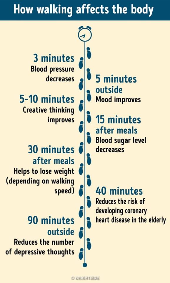 Meee_HQ's tweet photo. This week we're exploring #exercise and #wellbeing. How #walking affects the body from 3 to 90 minutes. #Amazing #bemoreyouwithmeee #meeeinaminute https://t.co/T8ewLb1h9a