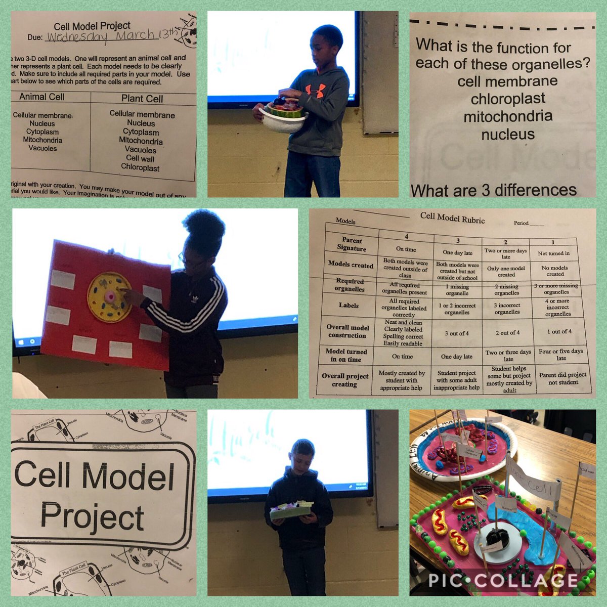 jen_shiers's tweet image. 5th grade scientists in @MsNwankwoh’s class present their cell model projects! Ss used originality, creativity and their knowledge of what they learned! Very engaging and meaningful homework! #cobbscience #huskychat