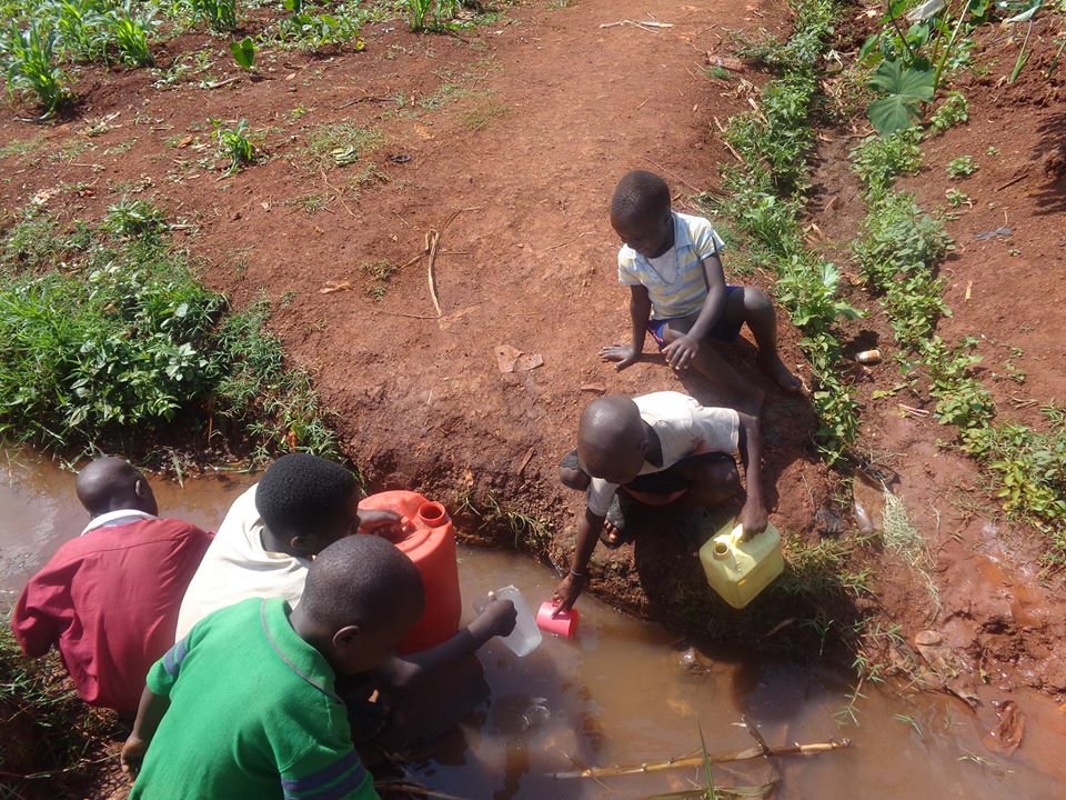 SimukaVan tweet picture
