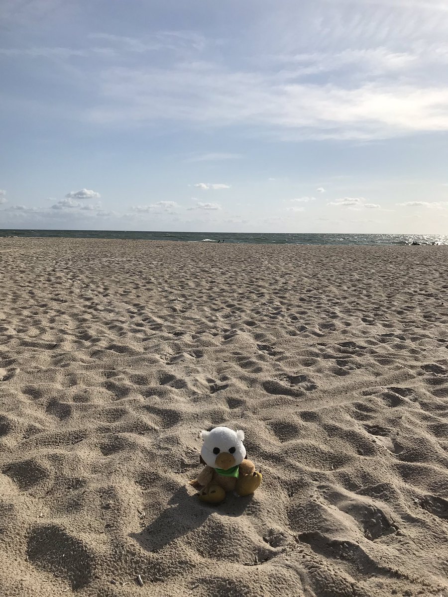 Jodi Patterson tweet media