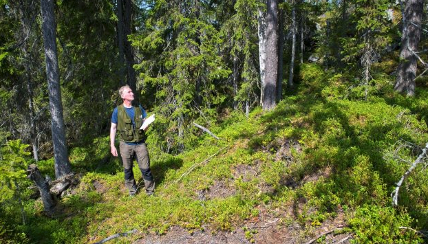 LRF Premium. Så gör du en skogsbruksplan: bit.ly/2XOyad8 #skog #skogsbruk #skogsbruksplan