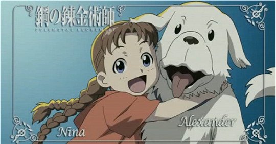 Anime Dog of the Day on X: Today's anime dog of the day is: Den from  Fullmetal Alchemist: Brotherhood (2009)  / X