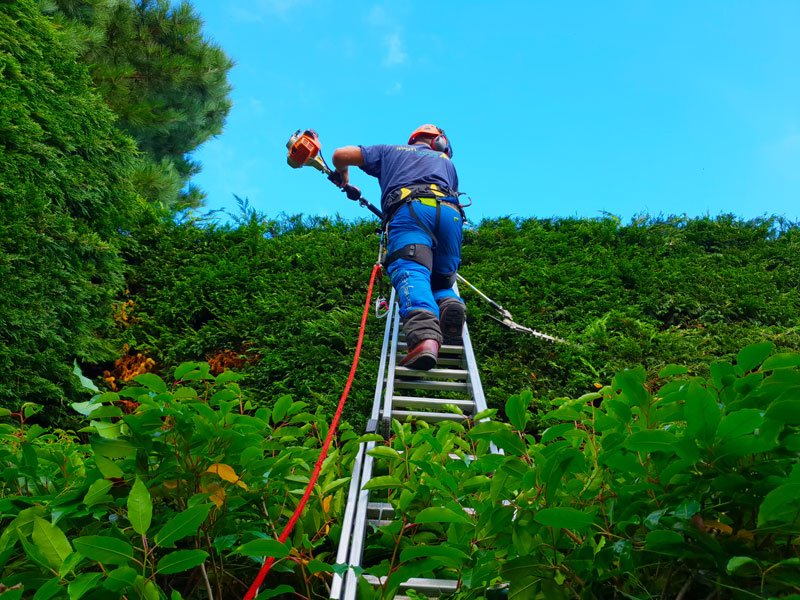 teigntrees's tweet photo. Here are four of the fabulous shots our tree crews have sent in over the last few months. We're entering them & more into the @ArbAssociation photo competition #ARBatWork 2019 on behalf of our boys. #teigntrees #ARBassociation #photocompetition #photooftheday #whatwedowednesday https://t.co/pdRAFDkM3A