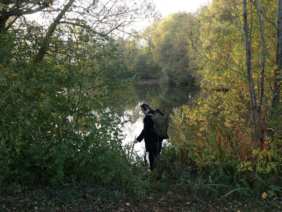 Vasulka Kitchen Brno tweet media