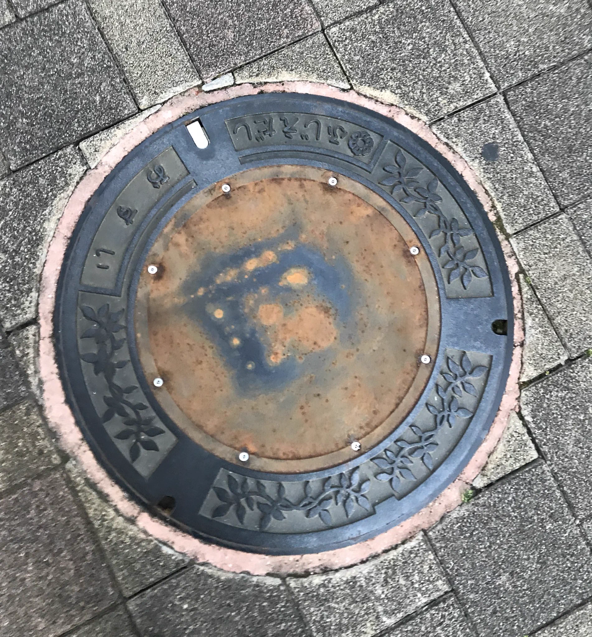 役所はムダに仕事が早い！？ピエール瀧のマンホール撤去wwここまでするのか...