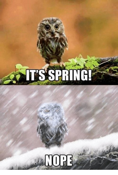 StreamlineSPT's tweet image. Mood. #springofdeception #thirdwinter