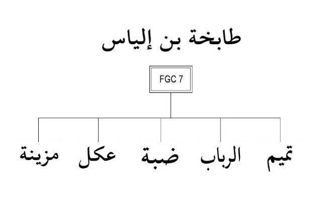 FGC2DNAFGC2's tweet photo. التحور fgc7
التحور fgc4302

التحور FGC4302 المتفرع من التحور FGC7 وهو الخط الجيني لــ "بنو عكل" . 

ومن بني عكل هؤلاء "فرع كنانة" المنسوبون إلى كنانة بن الحارث بن عوف بن وائل بن قيس بن عوف بن عبد مناة بن أد بن طابخة بن إلياس بن مضر بن نزار بن معد بن عدنان . https://t.co/DyDqQFdVaz