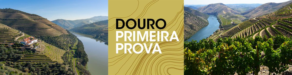 thenewdouro's tweet photo. The Douro Primeira Prova is an annual release tasting for wine professionals. The leading producers of the Douro Valley present their most recent vintages. Book your seats now: primeiraprova@wine-partners.at!
3rd - 5th June 2019 | Régua, Portugal
https://t.co/A3Go5MEwp8 https://t.co/LBUS7wglgn