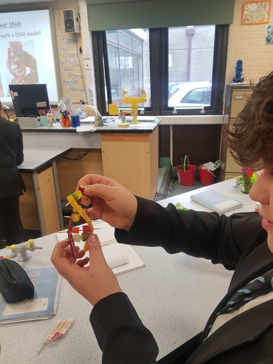 UHHSScience's tweet photo. Y8.3 have made some fabulous DNA models using sweets... Well done guys 👏 #scienceweek #genetics #DNA #juniorscientists https://t.co/7BomeDWzMI