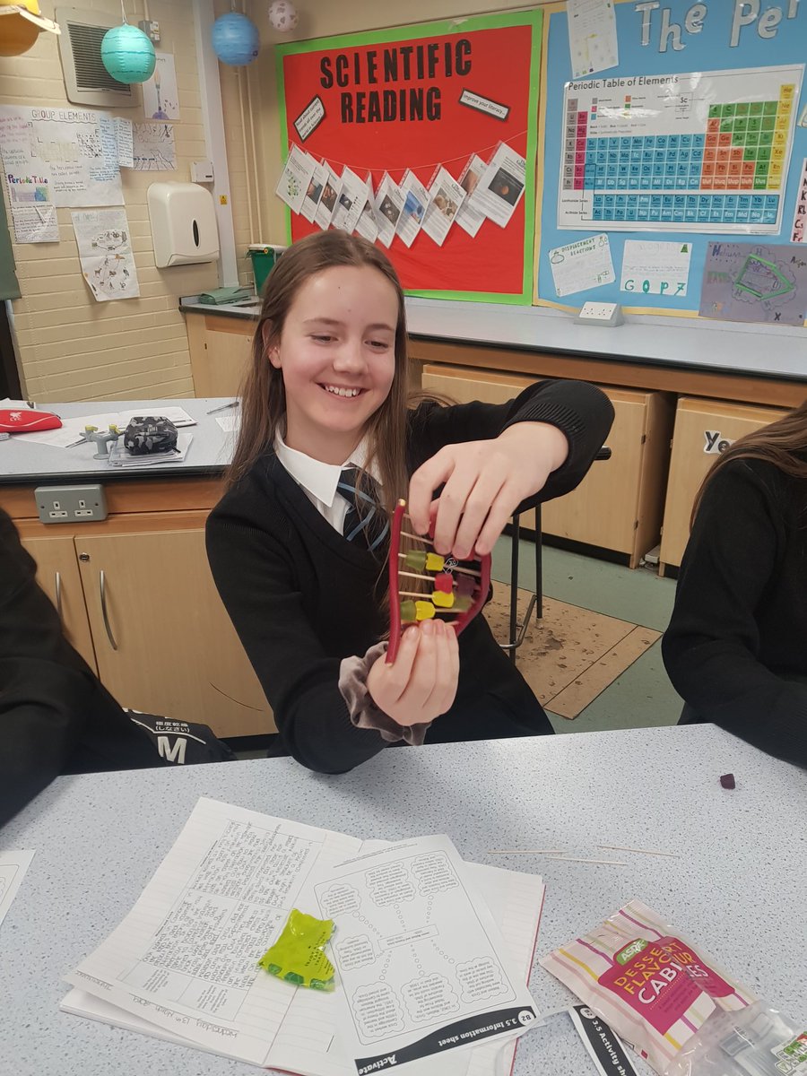 UHHSScience's tweet photo. Y8.3 have made some fabulous DNA models using sweets... Well done guys 👏 #scienceweek #genetics #DNA #juniorscientists https://t.co/7BomeDWzMI