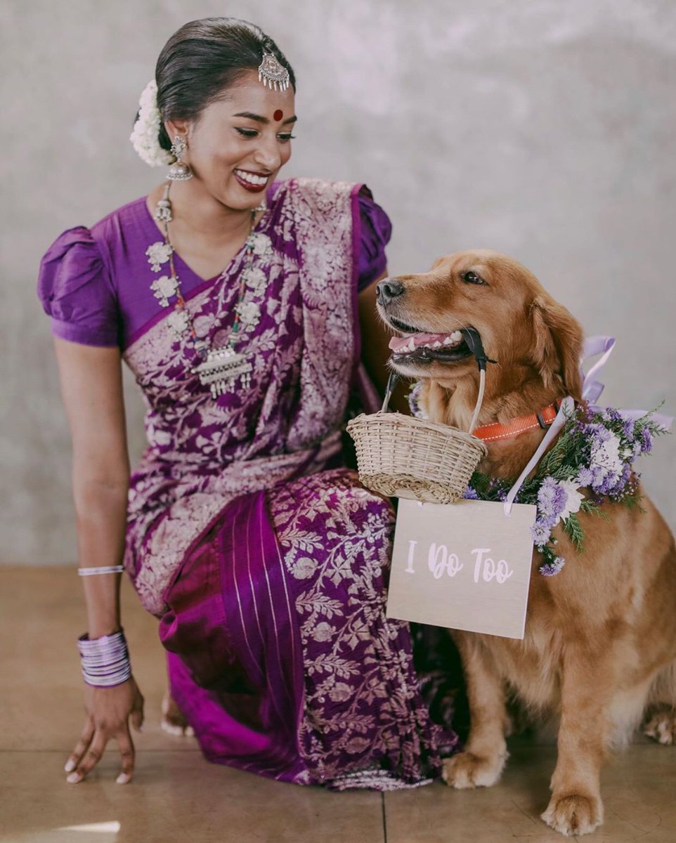 WeddingTimesTOI's tweet image. Here are some adorable ways to include your pet in your wedding celebrations.  
 
Photo 1: @WeddingNama 
Photo 2: #Doodleism
Photo 3: #AshaneBernardPortraiture
Photo 4: #PetersonDesignPhoto

#petsatweddings #doglover #pets #wedding #weddingphotography
