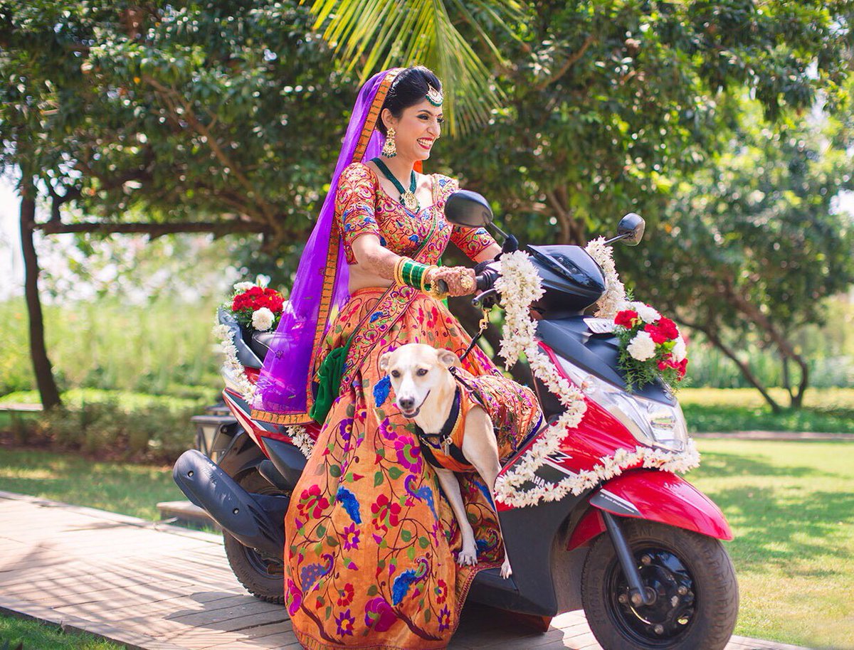 WeddingTimesTOI's tweet image. Here are some adorable ways to include your pet in your wedding celebrations.  
 
Photo 1: @WeddingNama 
Photo 2: #Doodleism
Photo 3: #AshaneBernardPortraiture
Photo 4: #PetersonDesignPhoto

#petsatweddings #doglover #pets #wedding #weddingphotography