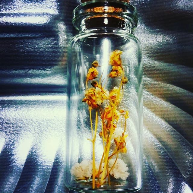 flowersflash11's tweet photo. ネオメタルクラシカル
#flowersflash #flashflowers #イエロー #黄色 #ポップ #カラフル #キャッチー #yellow #メタリック #メタル #メタリカルフラワーズ #花のある暮らし #花のある生活 #アート #art #rockart #ロックアート #ロック #rock #メタルクラシカル #neoclassicalmetal https://t.co/VlziaSqb8f