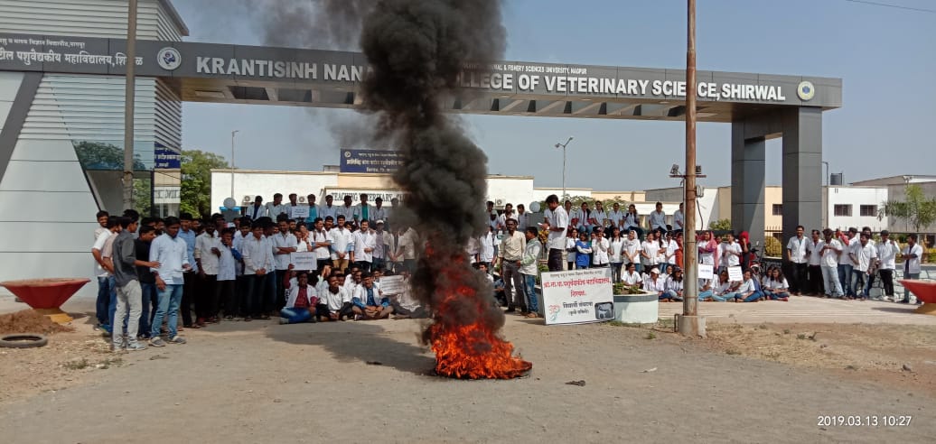 KiranKa56559467's tweet photo. @zee24taasnews @ibnlokmattv1 @ZeeNewsHindi @aajtak @abpmajhatv #shameonmaharashtragovernment
#shameonanimalhusbandrydptmaharashtra
Vets on strike in Maharashtra against the promotions of 10th pass LSS to LDO. 
We want Justice.
All colleges of MAFSU University closed. https://t.co/RrHd56Ma61
