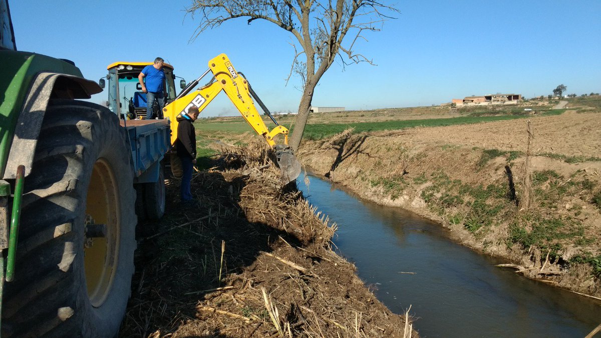 Ajuntament Linyola tweet media