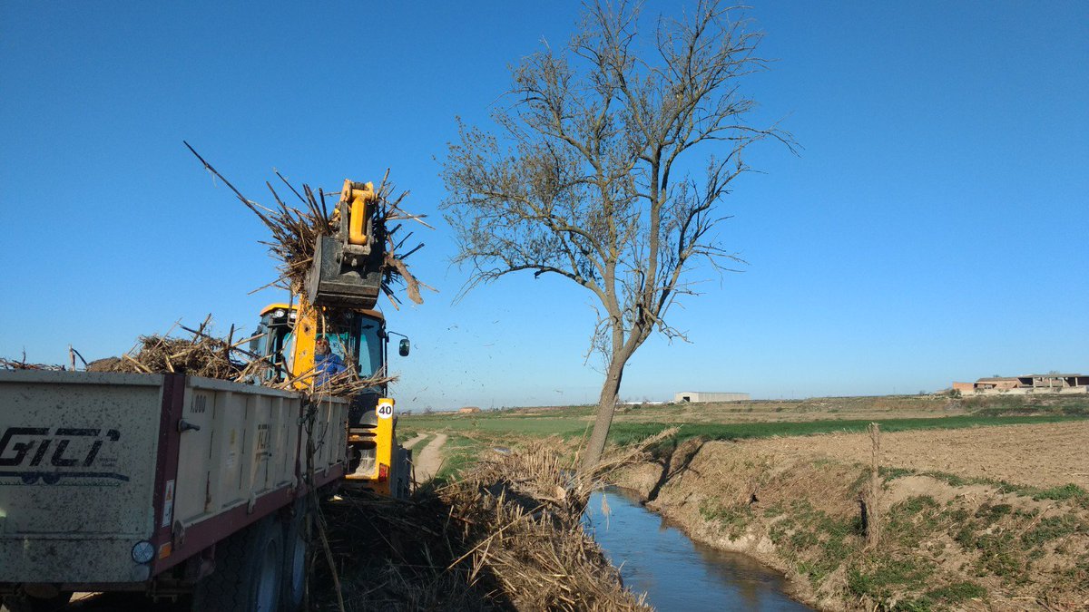 Ajuntament Linyola tweet media