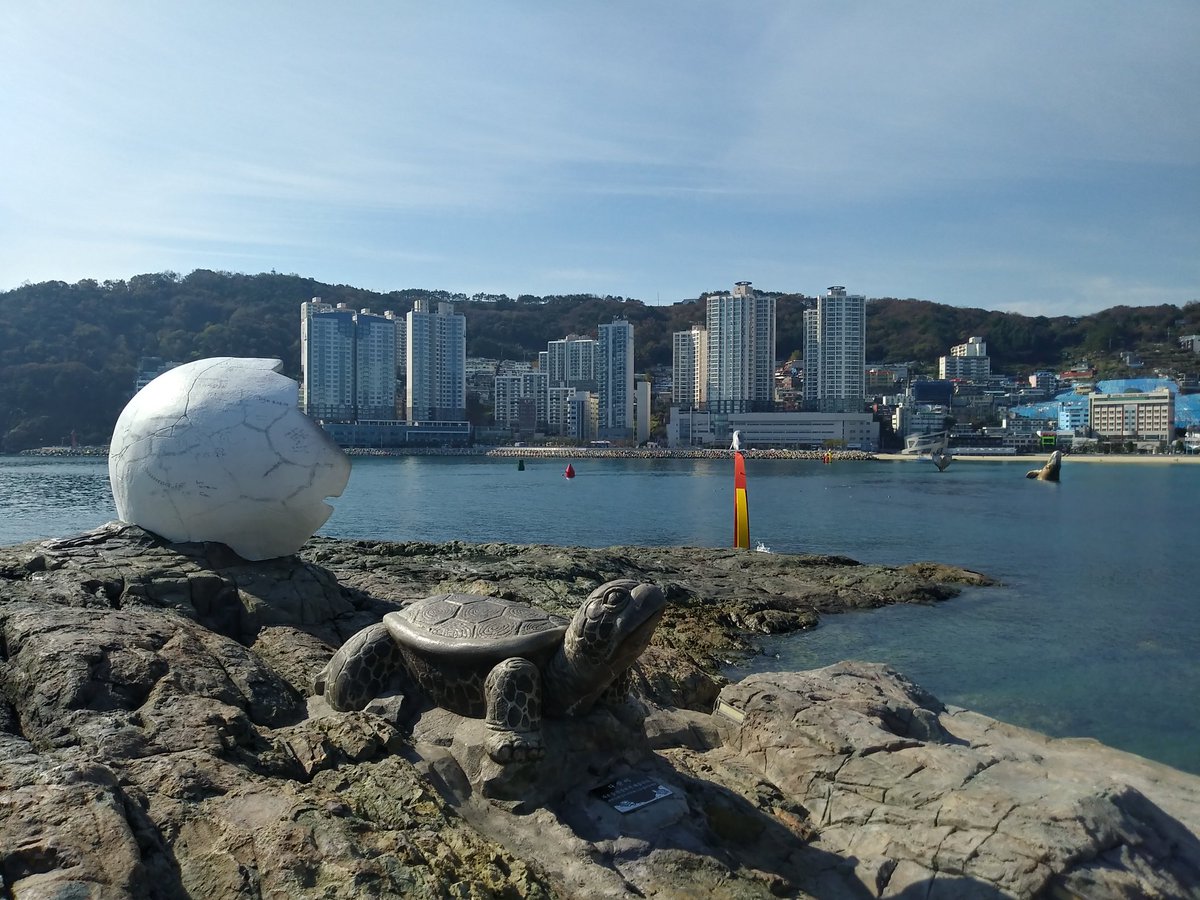 oops1945's tweet image. 무지개는 잡을 수 없기에 더 신비롭고 
꽃은 피었다 시들기에 더 아름답지.

젊음은 붙들 수 없기에 더 소중하고 
우정은 깨지기 쉬운 것이기에 더 귀하지.

우리네 인생 그리 길지도 않은데, 
늘 포근히 감싸주며 살다 가요.

- 좋은 글 중에서...