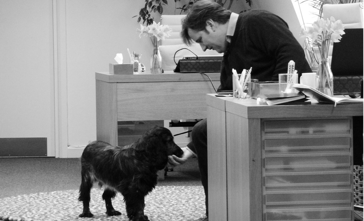 We're a light and airy #coworking space located in the heart of #Balham, filled with friendly professionals working in the #creative industry (plus a couple of dogs!)

If you want to avoid a long commute and work closer to home, pop in and say hello. #coworkingspace #SW12